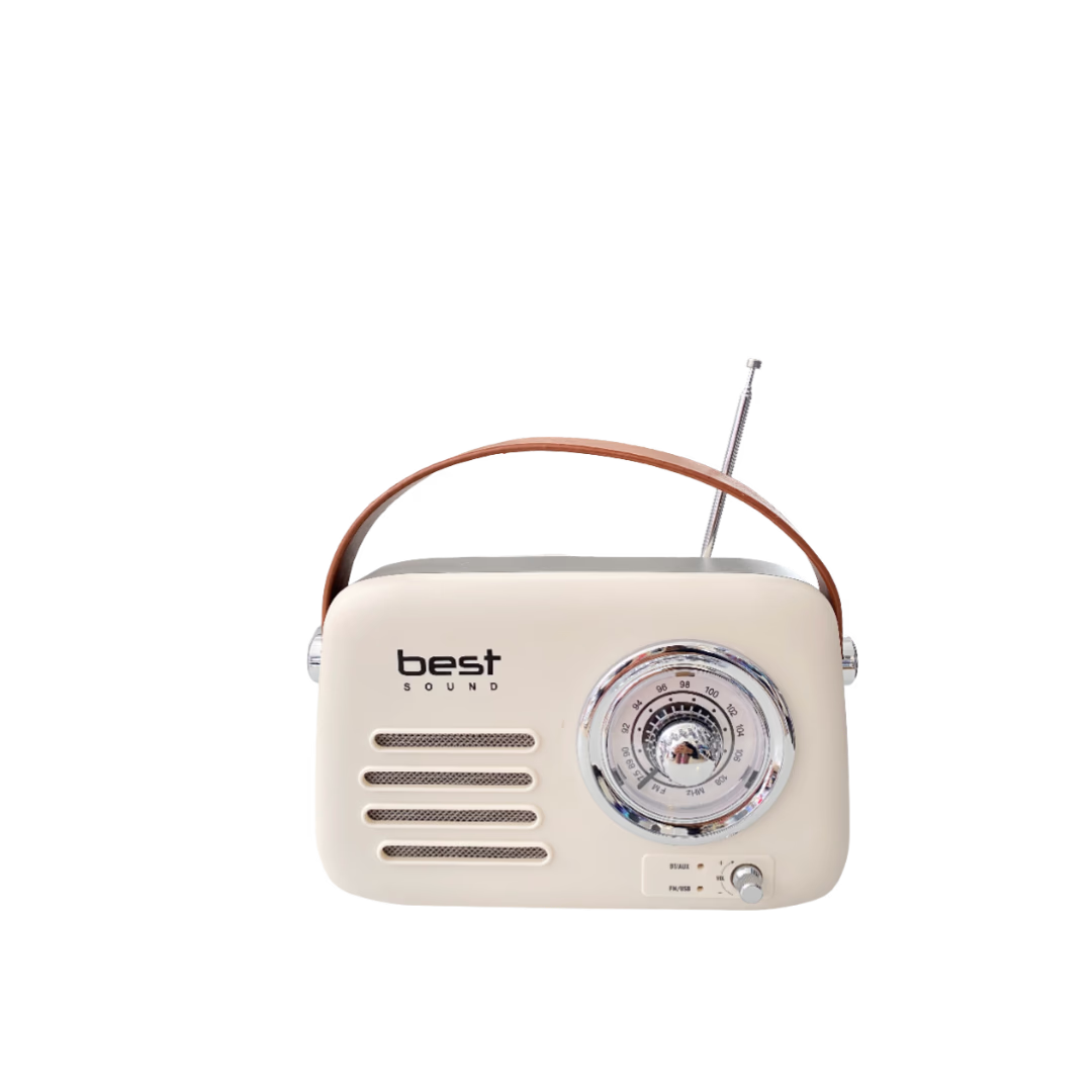 Enceinte Radio Bluetooth Best Sound T10
