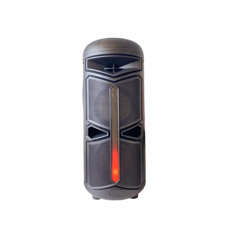 Haut-parleur Bluetooth ZQS 4293