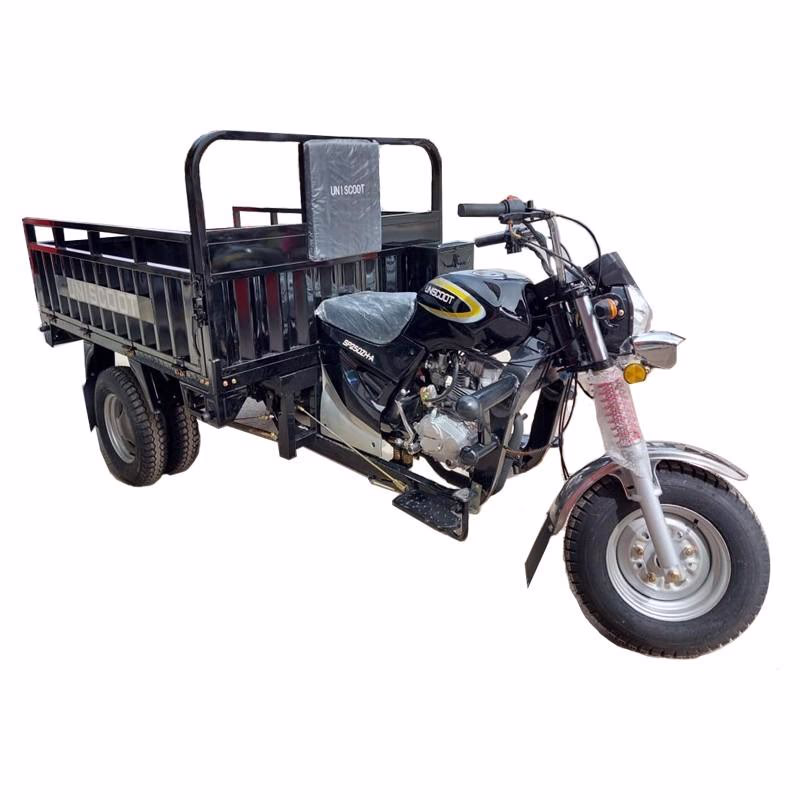 Tricycle de Uniscoot SP250ZH-A, Moteur 250CC Charge 705 Kg en Noir(SP250ZH-A)