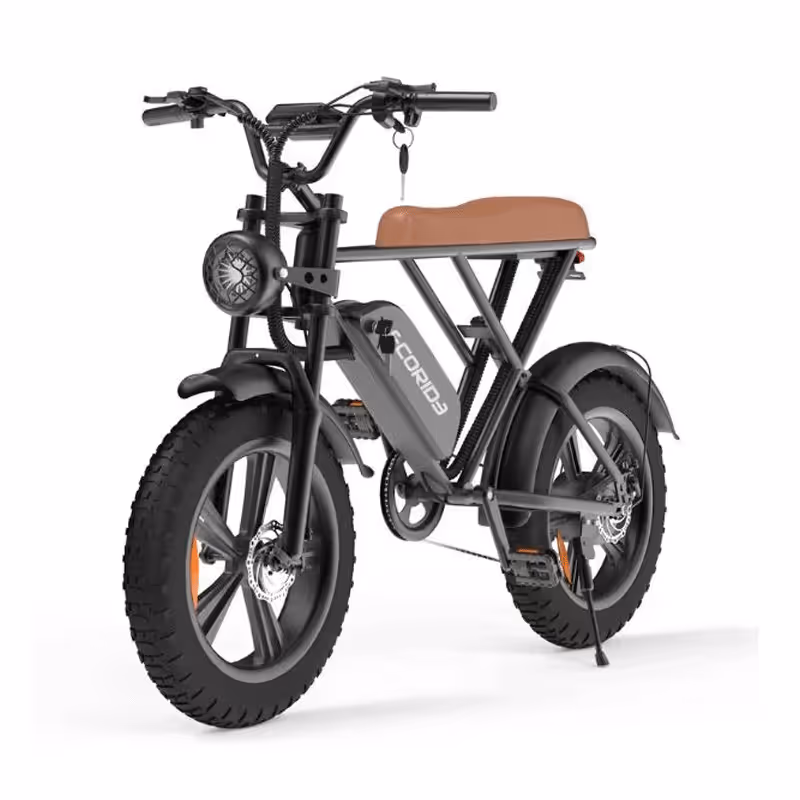 Bicyclette Électrique ECORIDE ER2 1000W  1