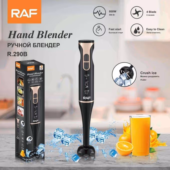 Mixeur Plongeant  800W RAF -  R.290B Noir
