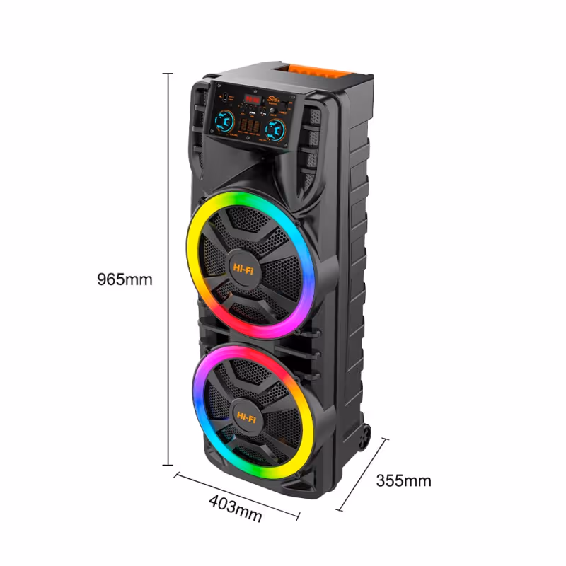 Système de sonorisation karaoké sans fil - Bluetooth active avec microphone Radio / SING-E ZQS12203-12205 